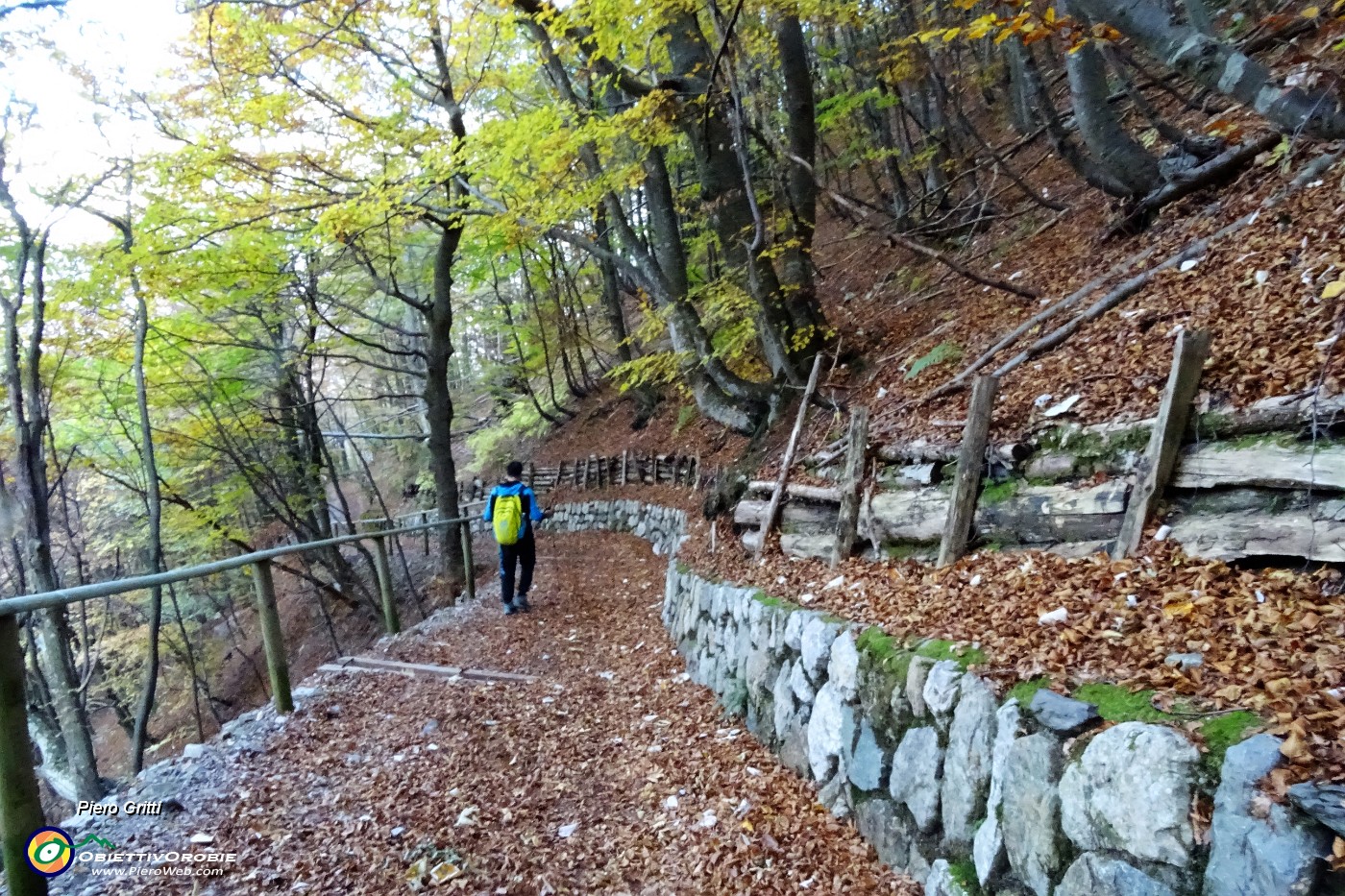 75 Anche sulla stradetta si cammina su tappeto di foglie .JPG